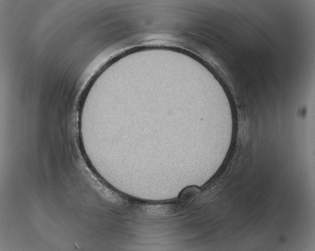 X0000114631376200912011015