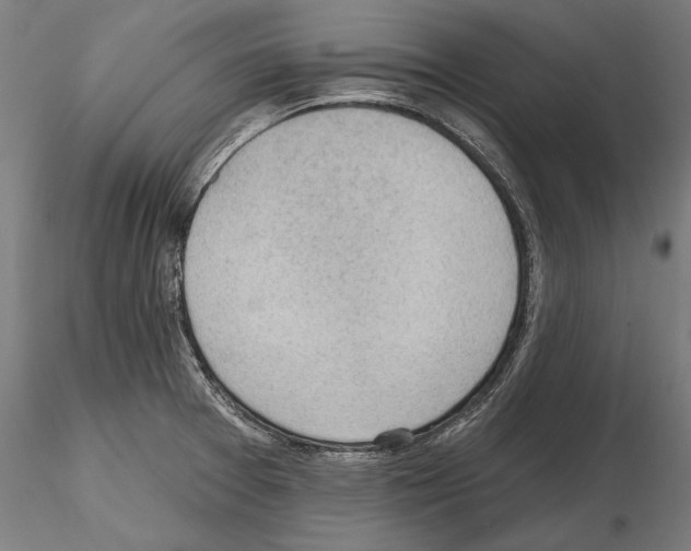 X0000114631377200912011015