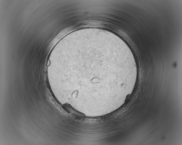 X0000114631378200912011015