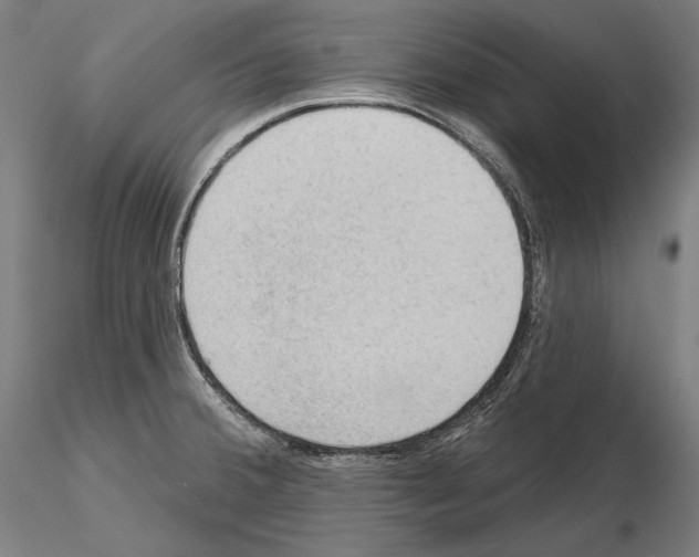 X0000114631380200912011015