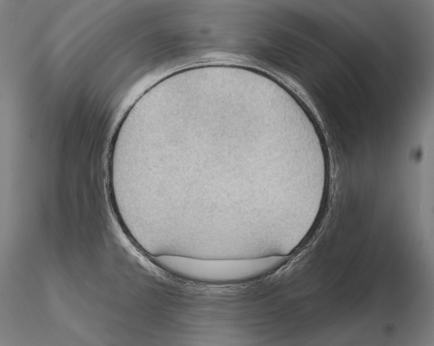 X0000114631381200912011015