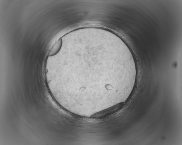 X0000114631382200912011015