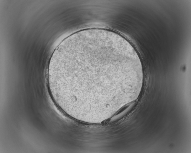 X0000114631383200912011015