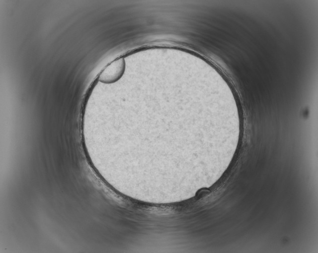 X0000114631384200912011015