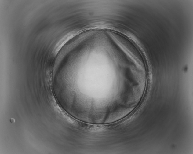 X0000114631385200912011015