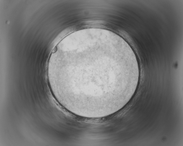 X0000114631386200912011015