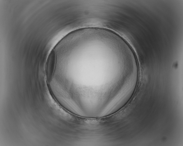 X0000114631389200912011015