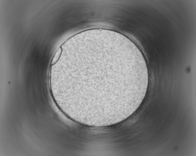 X0000114631391200912011015