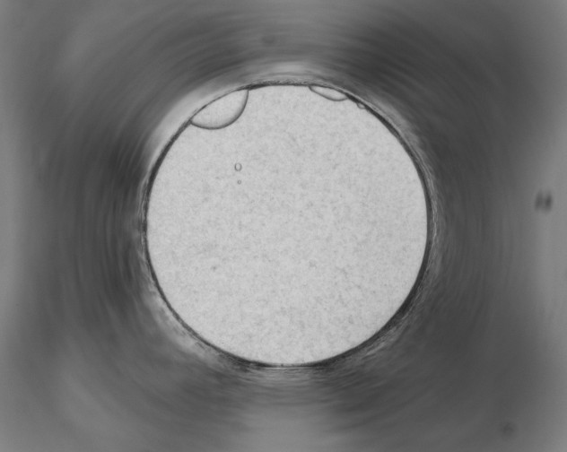 X0000114631392200912011015