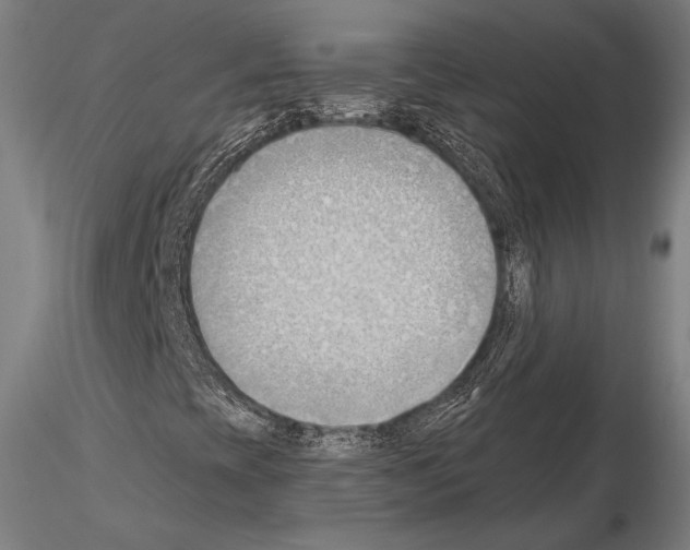 X0000114631393200912011014