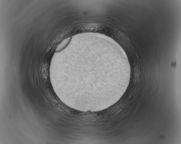 X0000114631394200912011014