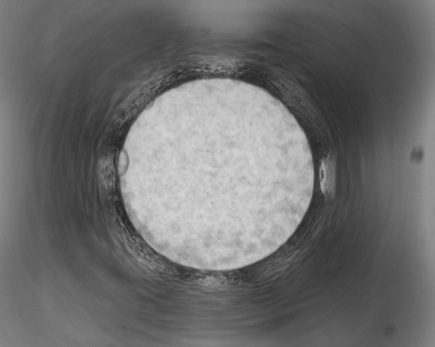 X0000114631395200912011014