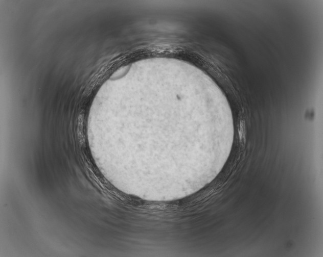 X0000114631396200912011014