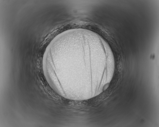 X0000114631397200912011014