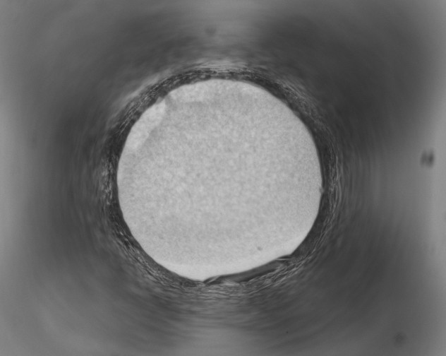 X0000114631398200912011014