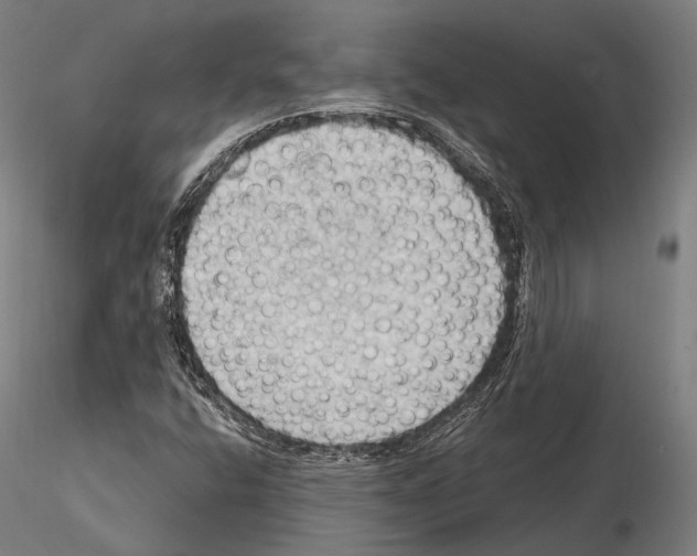 X0000114631400200912011014