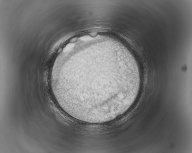 X0000114631402200912011014