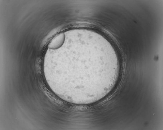 X0000114631403200912011014