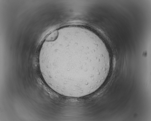 X0000114631405200912011014