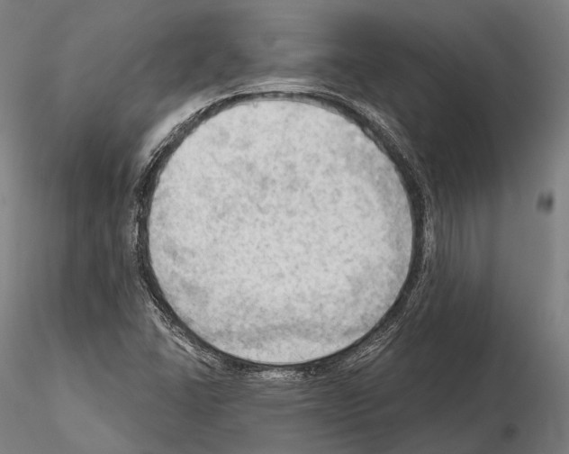 X0000114631406200912011014