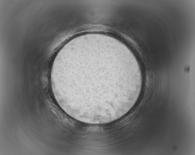 X0000114631407200912011014