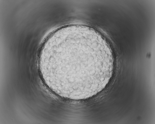 X0000114631408200912011014