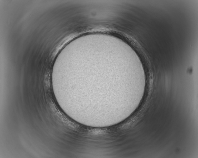 X0000114631409200912011014