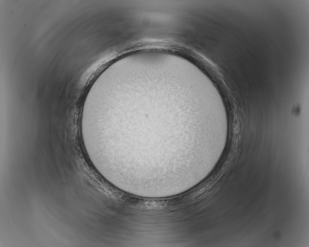 X0000114631411200912011014