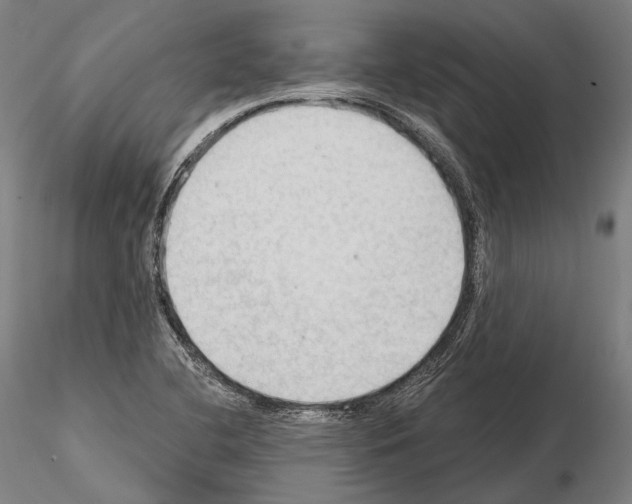 X0000114631412200912011014