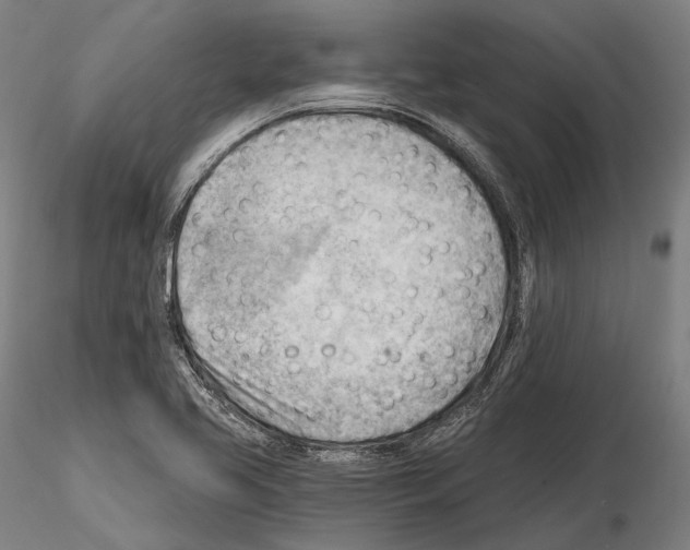 X0000114631413200912011014