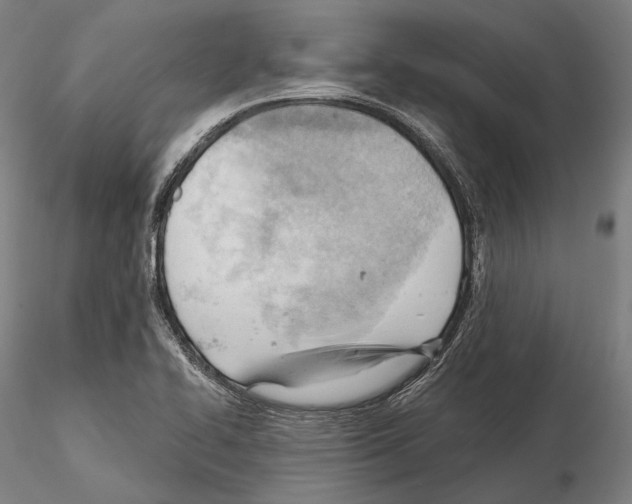 X0000114631414200912011014