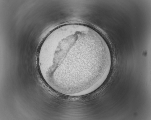 X0000114631415200912011014