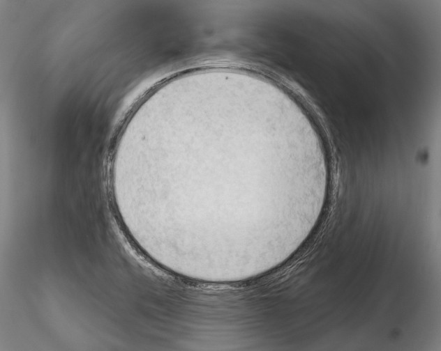 X0000114631416200912011014