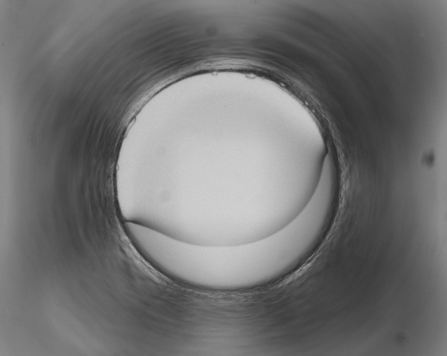 X0000114631417200912011014