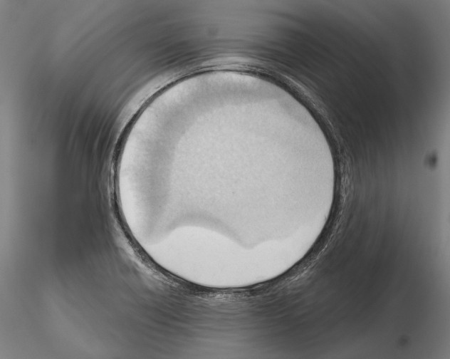 X0000114631418200912011014