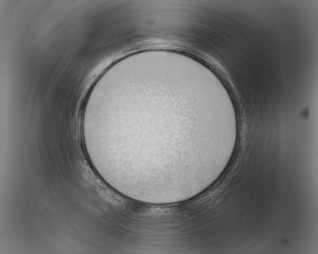 X0000114631419200912011014