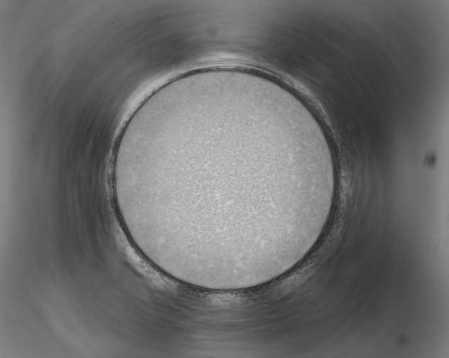 X0000114631421200912011014