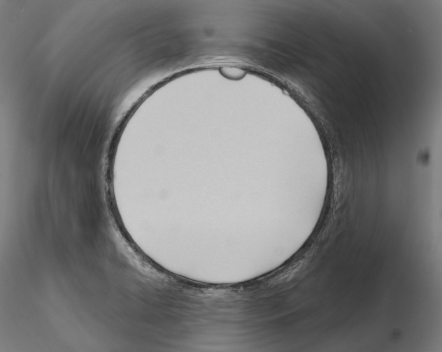 X0000114631422200912011014