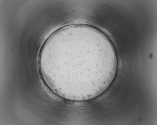 X0000114631423200912011014