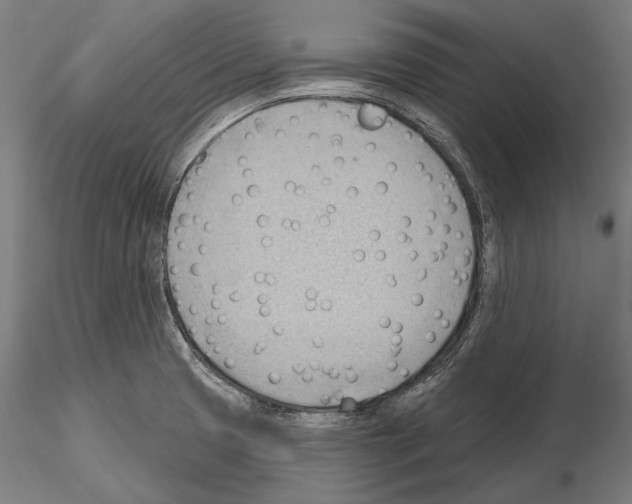 X0000114631425200912011014