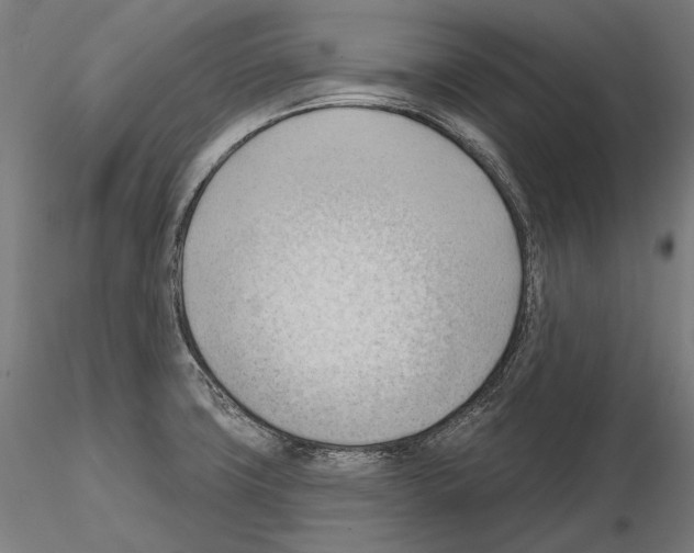 X0000114631427200912011014