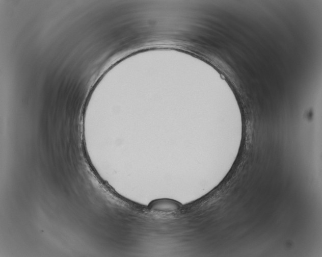 X0000114631428200912011014