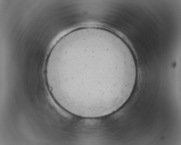 X0000114631429200912011014