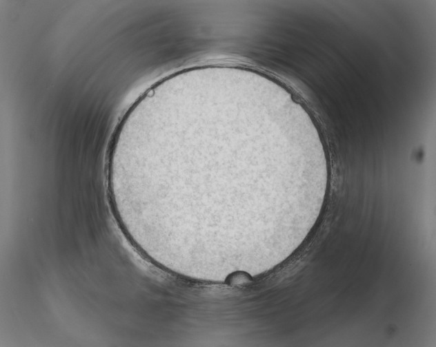 X0000114631430200912011014