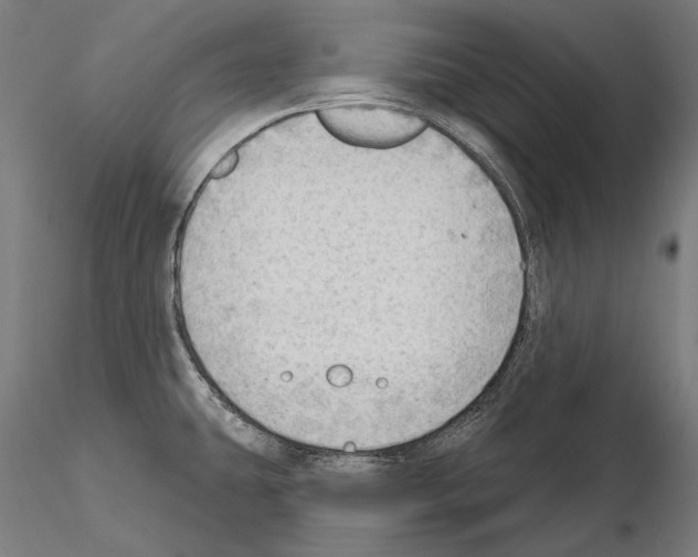 X0000114631431200912011014