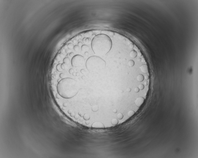 X0000114631432200912011014