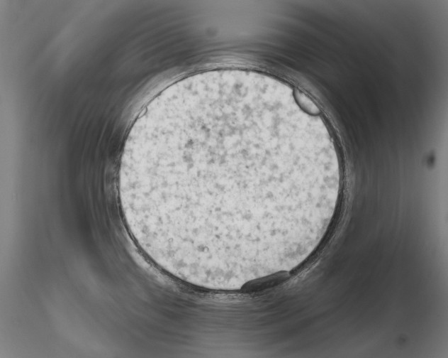 X0000114631433200912011014