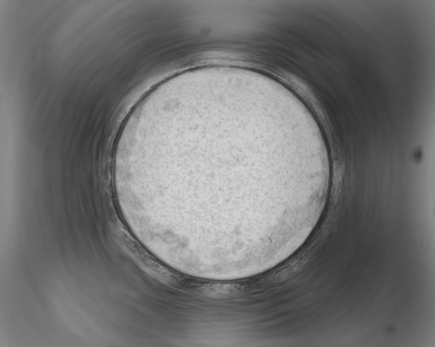 X0000114631435200912011014