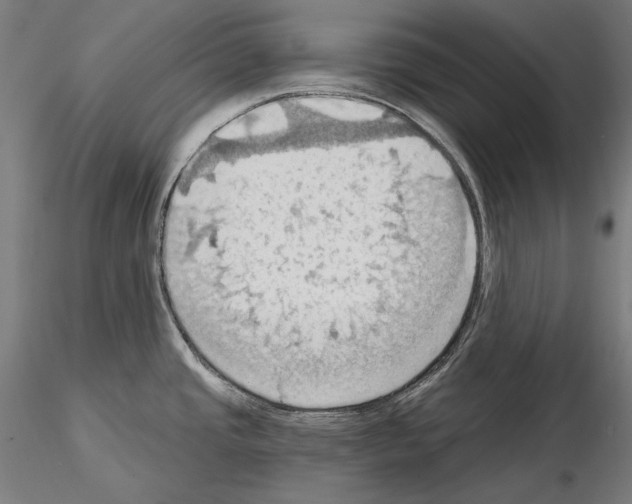 X0000114631437200912011015