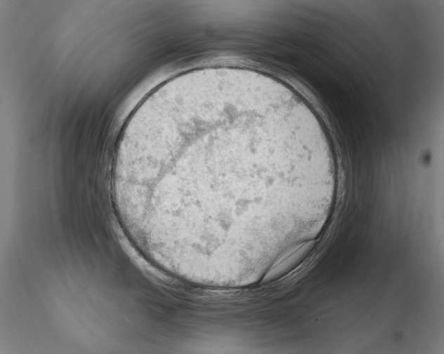 X0000114631438200912011015